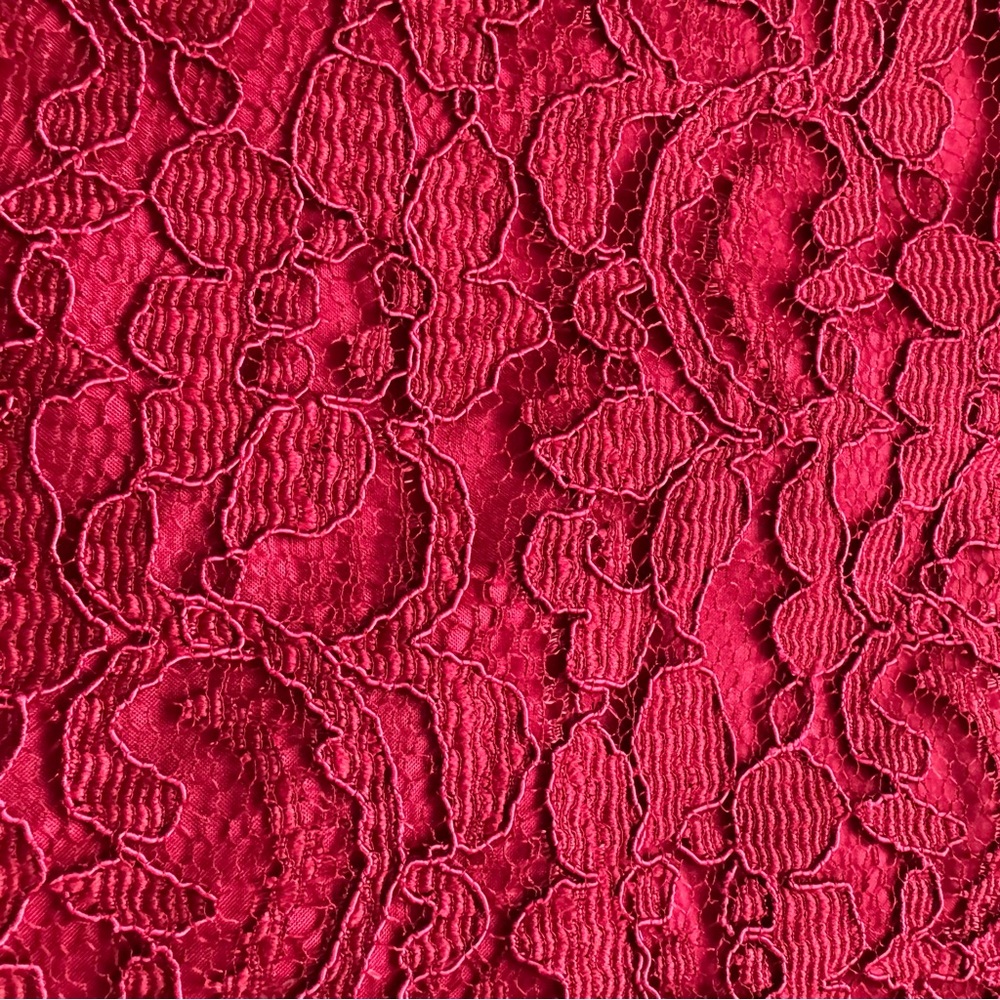 David's Bridal Red Lace Strapless Sweetheart Neckline Mini Dress Size 8 - Picture 2 of 11